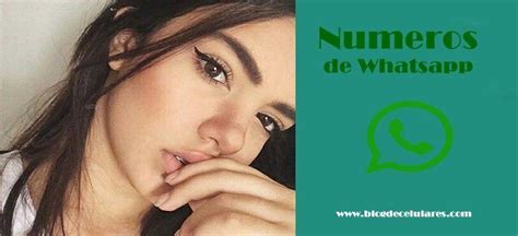 numeros de whatsapp de chicas|Conocer Gente por WhatsApp y Buscar Números de Chicas